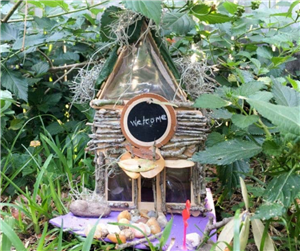 fairy- smr25