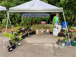 Cheryl Turgeon - Carlisle Farmers Market 